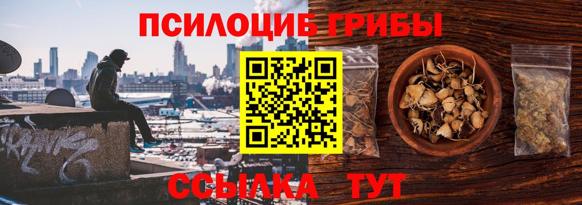 Домодедово  Галлюциногенные грибы MAGIC MUSHROOMS  даркнет сайт  Вход с VPN 