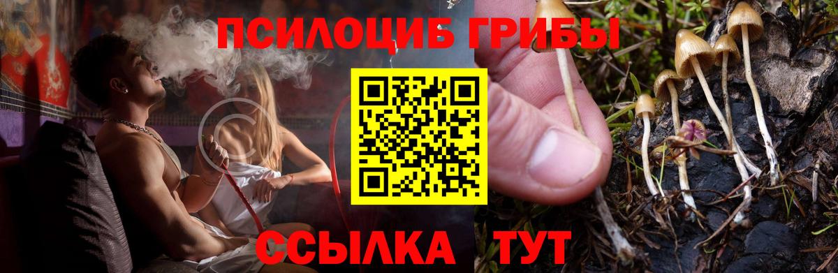 Галлюциногенные грибы GOLDEN TEACHER Домодедово